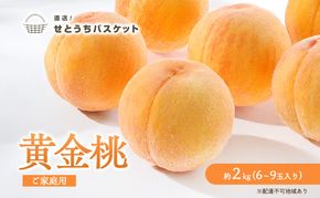 桃 2026年 先行予約 岡山 黄金桃 ご家庭用 約2kg 6～9玉入り もも モモ 岡山県産 国産 フルーツ 果物 直送！せとうちバスケット 