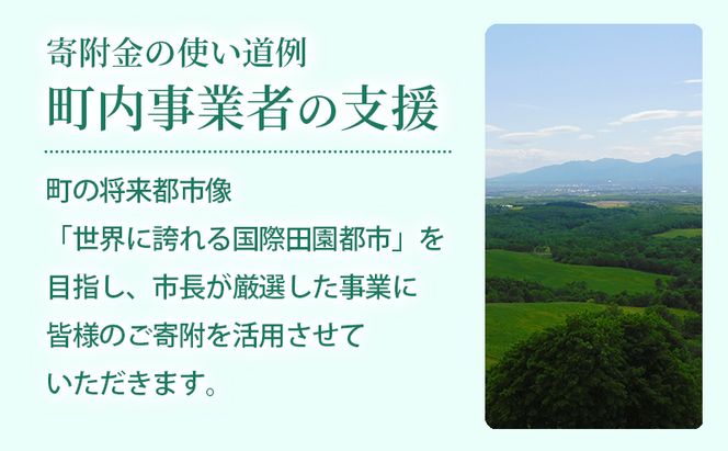 滝川市 ふるさと支援 寄附のみの応援受付 4,000円コース（返礼品なし 寄附のみ 4000円）