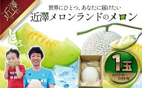 【先行予約】メロン 1玉入（約1.4kg～1.8kg）青肉 〈2027年6月中旬～7月中旬頃発送〉 メロン めろん マスクメロン 舐瓜 果物 くだもの フルーツ デザート 旬 ハウス栽培【株式会社とさもん】[BQAE026]