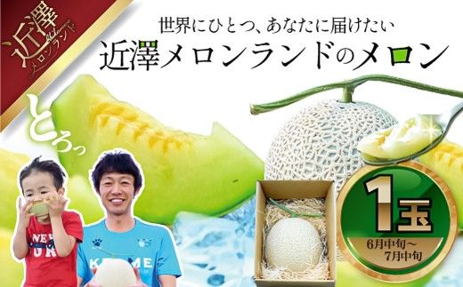 【先行予約】メロン 1玉入（約1.4kg～1.8kg）青肉 〈2027年6月中旬～7月中旬頃発送〉 メロン めろん マスクメロン 舐瓜 果物 くだもの フルーツ デザート 旬 ハウス栽培【株式会社とさもん】[BQAE026]