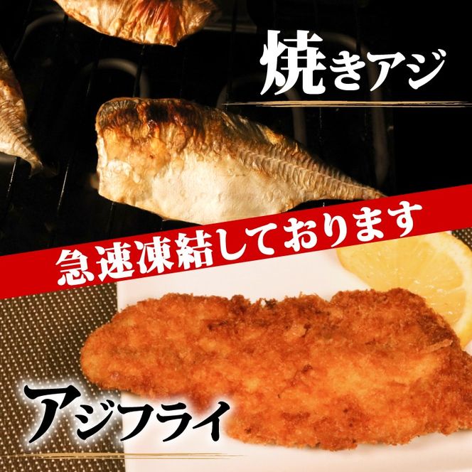 真アジフィレ1kg | 魚 魚介 刺し身 刺身 あじ 真アジ 鯵 マアジ 冷凍 国産 焼き物 焼きアジ 揚げ物 アジフライ お弁当 ご飯のお供 1万円 10000円 三陸 岩手県 大船渡市【kouyou008】