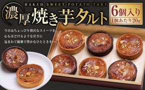 濃厚焼き芋タルト 6個入り | 紅はるか さつまいも 焼き芋 やきいも タルト