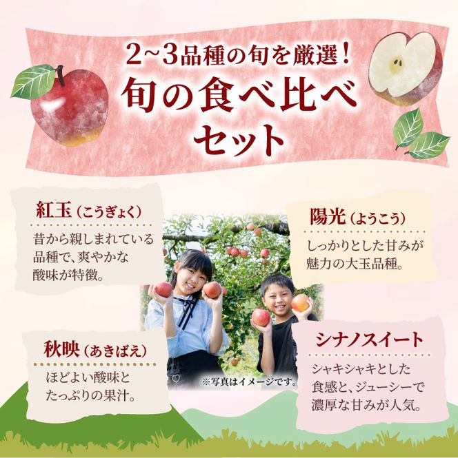 【先行予約】仲野りんご園の奥久慈りんご（各種詰め合わせ）約3kg（9～12玉）｜茨城県 大子町 エコファーマー 樹上完熟 林檎 アップル 紅玉 秋映 陽光 シナノスイート 食べ比べ 果物 フルーツ 旬 秋 味覚 ギフト 贈答（DF002）