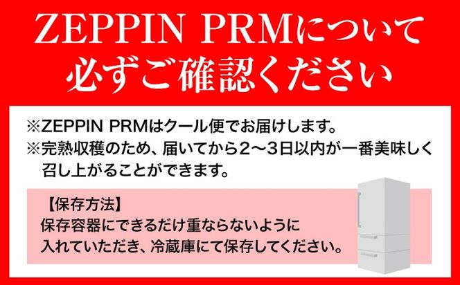 トマト フルーツトマト ZEPPIN PRM(プレミアム) 500g《120日以内に出荷予定(土日祝除く)》 高濃度 株式会社ジェイ・イー・ティ・アグリ 甘い うまみ とまと ミニトマト 野菜 岡山県 笠岡市---A-187a---