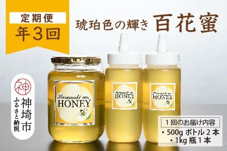 yꌧ_szy3z_Y VR݂͂(v6kg) R[XH yY _Y  Y 蕨 ցz(H049133)