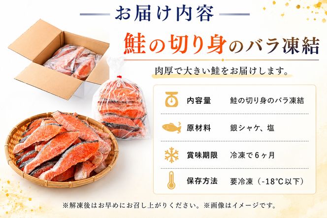 【内容量が選べる】訳あり 厚切り 銀鮭 切り身 一汐シャケ 500g～5kg