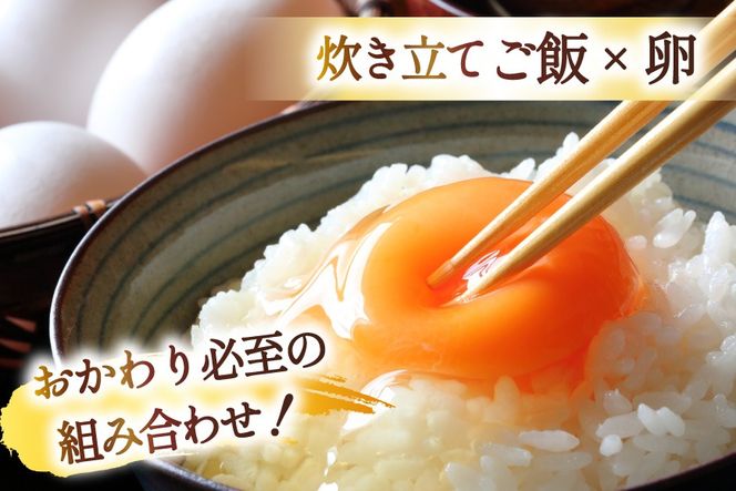 6回 定期便 米 宮城県産 とまたんのひとめぼれ 10kg (5kg×2袋) 総計60kg [サンフレッシュ小泉農園 宮城県 気仙沼市 20566087] ひとめぼれ ブランド米 白米 精米 ご飯 ごはん コメ こめ お米 小分け 家庭用