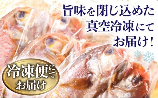 合計1.6kg!! 甘鯛 一夜干し 4尾 (1尾×4パック)  E-246