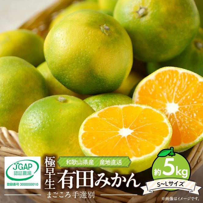 ZE6036n_【2026年先行予約】和歌山県産 有田みかん (極早生) 約5kg (S～Lサイズ)【サイズおまかせ】【まごころ手選別】