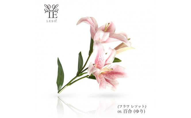 本物の花の香り リード・ディフューザー【リリー】 【 リード ディフューザー 花 香り 仙台市 アロマ インテリア フレグランス デザイン 室内 癒し 自然 空間 プレゼント ギフト エッセンシャルオイル リラックス 】 041009_HW001VC07