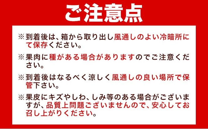 【先行予約】 とろける食感!ジューシー柑橘 せとか 約3kg 株式会社魚鶴《2026年2月下旬-3月下旬頃出荷》 和歌山県 日高川町 みかん 柑橘 果物 フルーツ 送料無料---wshg_uot105_2g3g_25_18000_3kg---