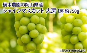 ぶどう 2026年 先行予約 シャイン マスカット 大房1房 約750g 贈答用 ブドウ 葡萄  岡山県産 国産 フルーツ 果物 ギフト 横木農園 ジューシー 種無し 贈り物 岡山県産ぶどう 