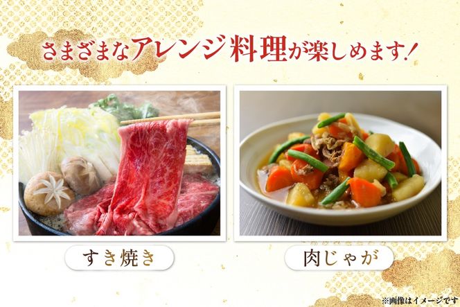 牛肉 宮崎県産 黒毛和牛 赤身 スライス 切り落とし 250g 6p 計1.5kg セット [TRINITY 宮崎県 日向市 452061320] すき焼き 冷凍 小分け 黒毛 霜降り 牛 和牛