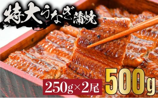 《特大》うなぎ 蒲焼焼き 2尾　500g（250gX2尾）　中国産　B-1035