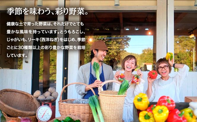 小笠原農園の有機とうもろこし「ミルキースイーツ」24本【北海道十勝幕別】《2026年8月出荷開始先行予約》【 スイートコーン コーン とうもろこし とうきび 黄色 野菜 夏 北海道 幕別町 】 