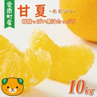 先行予約 甘夏 10kg 10000円 樹齢25年 以上 みかん mikan 蜜柑 あまなつ 夏みかん グレープフルーツ だいだい 家庭用 事前 予約 受付 産地直送 国産 農家直送 糖度 期間限定 数量限定 特産品 ゼリー マーマレード ピール ジュース 等に デザート 人気 限定 おいしい フルーツ 果物 柑橘 美味しい サイズ ミックス 減農薬 くらもとファーム 愛南町 愛媛県