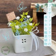 プリザーブドフラワー　ファム　ホワイト　春日部市　シュガーパイン(AJ254)