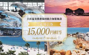 白浜温泉旅館協同組合加盟施設 共通宿泊割引券 15000円相当 304018_DM004