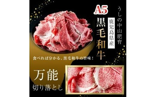 【定期便全12回】＜A4・A5等級＞黒毛和牛堪万能切り落とし肉 計4.8kg（400g×1P・全12回） t0144-001
