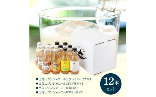 【CF-R7hbk】SKS049　土佐山ジンジャーエール飲み比べ12本セット 4種×各3本 ジンジャーエール 甘口 辛口 マイルド 飲み物 詰め合わせ セット お歳暮 ギフト ドリンク  ジンジャー ジュース 飲み比べ 贈り物 故郷納税 19000円 ふるさとのうぜい 高知県産 生姜 芸西村 返礼品