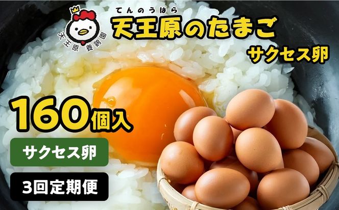 【定期便】３回定期 【天王原のたまご】 サクセス卵160個入り