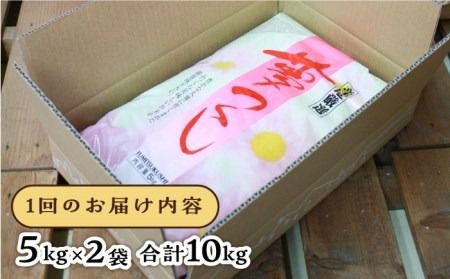 【全3回定期便】糸島産 夢つくし 10kg × 3回 糸島市 / 三島商店 [AIM011] 米 白米