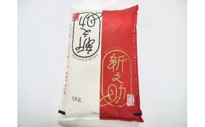 【令和7年産米】 新潟県村上市 岩船産 新之助 5kg 1029011