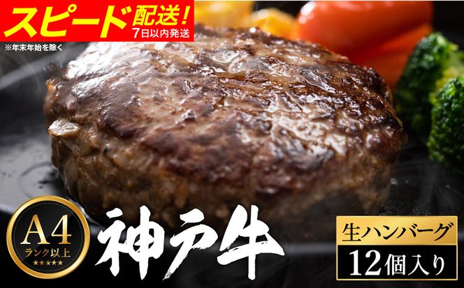 神戸牛 生ハンバーグ （100g×12個） 【帝神志方ミート】