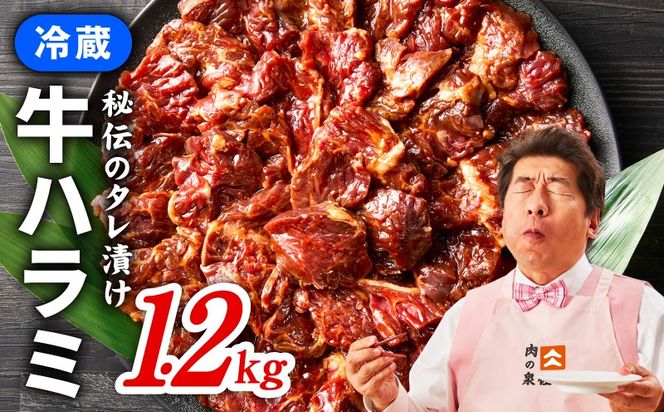 015B574 【冷蔵配送】牛ハラミ肉 焼肉用 味付け 1.2kg【小分け 300g×4P 牛肉 焼肉用 焼くだけ 小分け BBQ やきにく】