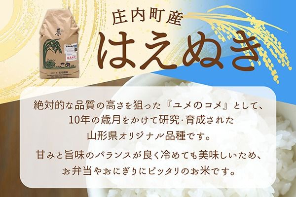 【新米受付】【R8.10月以降発送】令和8年産 はえぬき 10kg 石垣農園 5kg×2袋 2026年産 ブランド米 米 国産 単一原料米 山形 庄内平野 コシヒカリの原点、亀の尾発祥の地 庄内