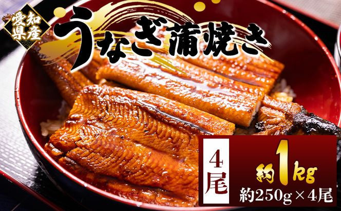 国産蒲焼きうなぎ ２５０ｇ ４尾 計１０００ｇ fb-0169