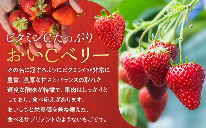 こだわり栽培 いちご おいCベリー 約1kg（約250g×4パック）【2026年1月下旬～2026年4月末までお届け】 232238_DS002