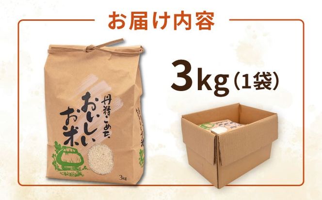 【年内発送】糸島産 ヒノヒカリ 3kg 糸島市 / 平山農園 米 白米 ご飯 お米 3kg[AXN005]