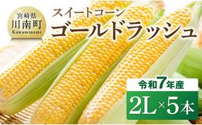 【令和7年発送】宮崎県産とうもろこし　スイートコーン「ゴールドラッシュ」2L×5本【新鮮 農家直送 トウモロコシ 産地直送 季節限定 期間限定 宮崎県産 九州産】[D09109]