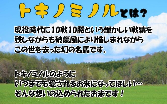 北海道産 ななつぼし トキノミノル 白米 10kg