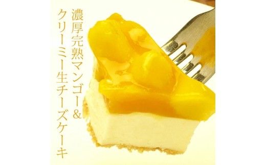 お誕生日ケーキ　マンゴー レア チーズケーキ 5号 4-6人分　パティスリー天使のおくりもの ※離島への配送不可