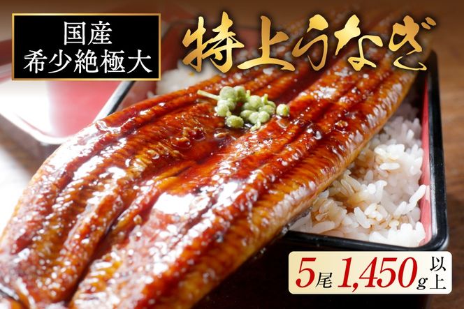 国産 希少 超極大 特上うなぎ(290g×5尾)【OT000OF50】