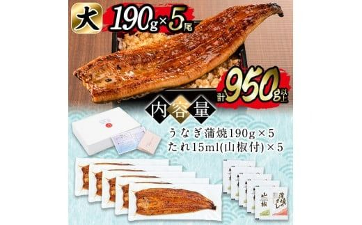 yuzuszm{̉V̊Ă偄5Zbg(v950gȏ) d3-001