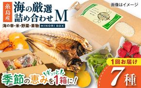 【年内発送】糸島産 魚 米 野菜 果物 厳選詰め合わせ MINORI BOX Mサイズ 糸島市 / emma.Inc / 米 魚 野菜 果物 詰め合わせ[AOP023]