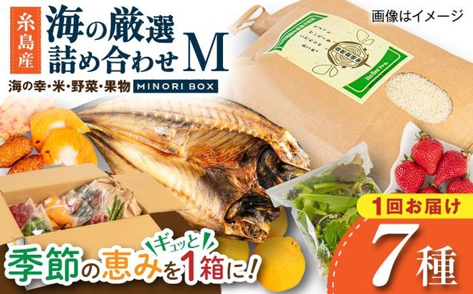 【年内発送】糸島産 魚 米 野菜 果物 厳選詰め合わせ MINORI BOX Mサイズ 糸島市 / emma.Inc / 米 魚 野菜 果物 詰め合わせ[AOP023]