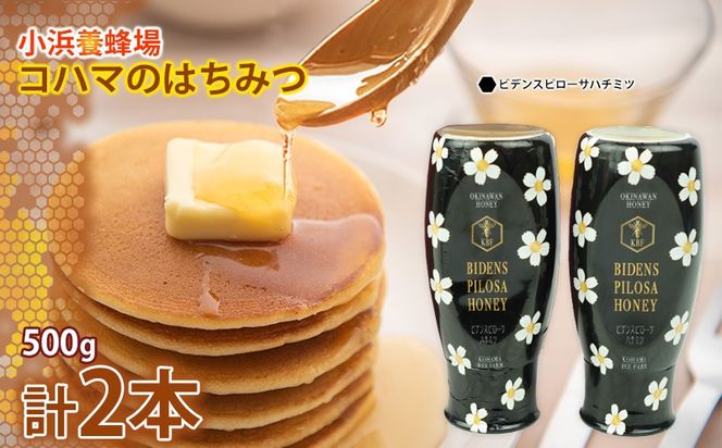 コハマのハチミツ 500g 2本セット（ビデンスピローサ） 国産 はちみつ ハチミツ 蜂蜜 hatimitu ハニー HONEY 蜜 さし草 ビデンスピローサ 朝食 グルメ 健康 贈答 プレゼント ギフト セット 内祝い 沖縄県産 沖縄