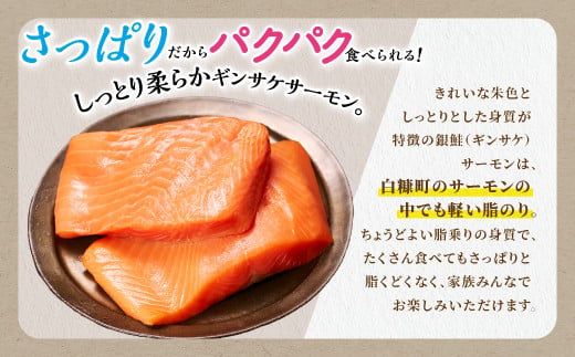 ギンサケサーモン【800g】 小分け 下処理不要 絶品の「塩締め」レシピ ふるさと納税 海鮮 サーモン 鮭 魚 銀鮭 刺身 生食用 さけ サケ ふるさと ランキング 人気 魚介類 魚介 北海道 白糠町