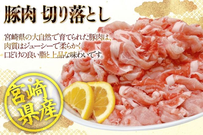 豚肉 小分け 宮崎県産豚肉 切り落とし 250g 14袋 計3.5kg セット [TRINITY 宮崎県 日向市 452061332] 真空パック こま切れ 宮崎 切落し 冷凍 細切れ ぶた こま切れ 小間切れ 肉