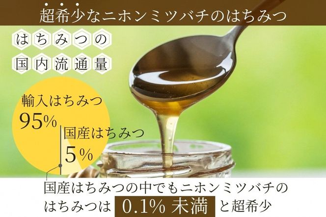 はちみつ【数量限定】京都産 生はちみつ 130g×3個セット 二ホン