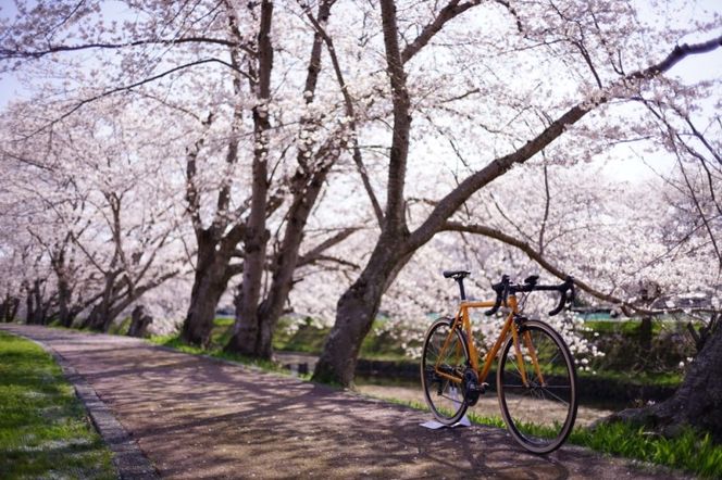 和尚のガイドで巡る自転車ツアー「ディープな京都・宇治田原」2名様分【緑茶発祥の地／kyoto♥のまち】 体験チケット 旅行 観光 サイクリング アクティビティ ビュースポット グルメスポット 