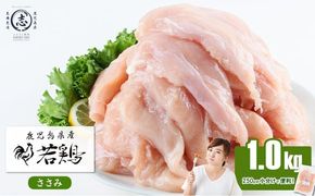 小分けで便利！鹿児島県産若鶏ささみ 計1kg(250g×4P) p7-049
