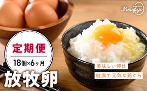 放牧卵18個×6ヶ月　　人気　おすすめ　国産　贈答　ギフト　お取り寄せ　卵　たまご　タマゴ　玉子　鶏卵　自然卵　放牧卵　平飼い　新鮮　たまごかけご飯　B-21