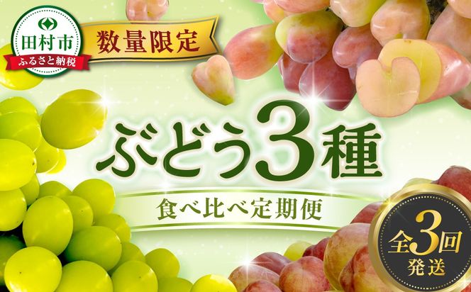 【先行予約 2025年発送】＼ぶどう3種食べくらべ定期便／ 3回発送 冷蔵 高級 種無し 種なし シャインマスカット ブドウ ぶどう 品種 果物 フルーツ 巨峰 美味しい 希少 人気 福島県 田村市 鈴木農園 N000-007