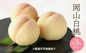 桃 2026年 先行予約 白桃 3kg 9～12玉 もも モモ 岡山 国産 フルーツ 果物 ギフト 桃茂実苑