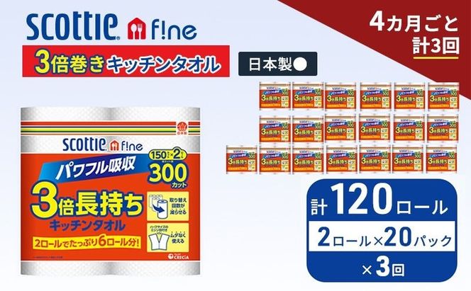 定期便 キッチンペーパー スコッティ 120ロール ファイン キッチンタオル 3倍巻き 150カット ペーパータオル 2ロール × 20パック《 4ヶ月ごと計3回 》